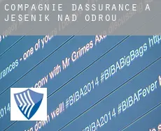 Compagnie d'assurance à Jeseník nad Odrou