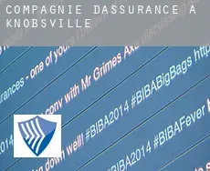 Compagnie d'assurance à  Knobsville