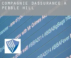 Compagnie d'assurance à  Pebble Hill