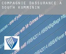 Compagnie d'assurance à  South Kumminin