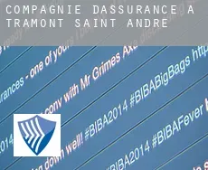 Compagnie d'assurance à Tramont-Saint-André