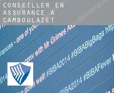 Conseiller en assurance à Camboulazet