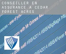 Conseiller en assurance à  Cedar Forest Acres