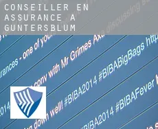 Conseiller en assurance à  Guntersblum