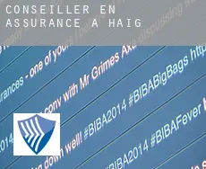 Conseiller en assurance à Haig