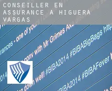 Conseiller en assurance à Higuera de Vargas