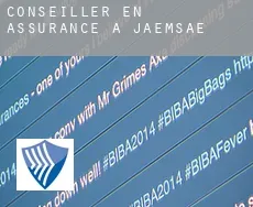 Conseiller en assurance à Jaemsae