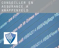 Conseiller en assurance à  Knappenfeld