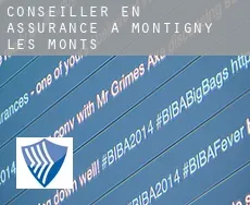 Conseiller en assurance à Montigny-les-Monts