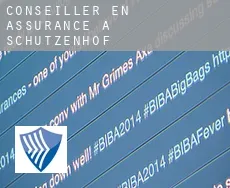 Conseiller en assurance à  Schutzenhof