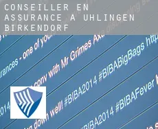 Conseiller en assurance à  Ühlingen-Birkendorf