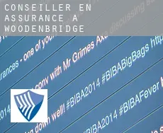 Conseiller en assurance à Woodenbridge
