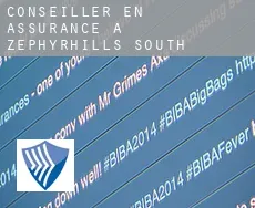 Conseiller en assurance à  Zephyrhills South