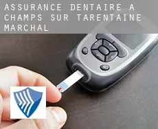 Assurance dentaire à Champs-sur-Tarentaine-Marchal
