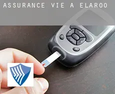 Assurance vie à  Elaroo