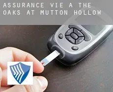 Assurance vie à  The Oaks at Mutton Hollow