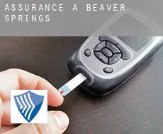 Assurance à Beaver Springs