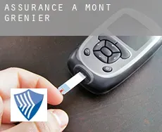 Assurance à  Mont-Grenier