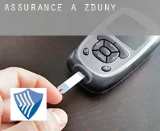 Assurance à  Zduny