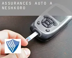 Assurances auto à  Neshkoro