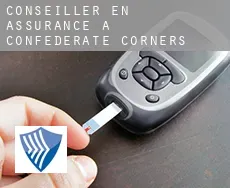 Conseiller en assurance à  Confederate Corners