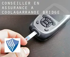 Conseiller en assurance à  Coolagarranoe Bridge