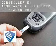 Conseiller en assurance à  Left Fork of Blackberry