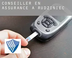 Conseiller en assurance à Rudziniec