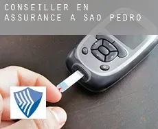 Conseiller en assurance à São Pedro
