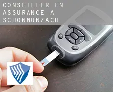 Conseiller en assurance à  Schönmünzach