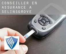 Conseiller en assurance à Selinsgrove