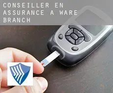 Conseiller en assurance à  Ware Branch