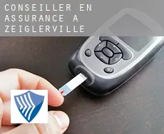Conseiller en assurance à Zeiglerville