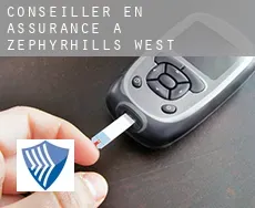 Conseiller en assurance à Zephyrhills West