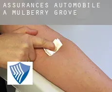 Assurances automobile à  Mulberry Grove