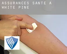 Assurances santé à  White Pine