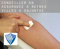 Conseiller en assurance à  Autres Villes à Adjuntas