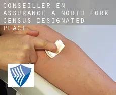 Conseiller en assurance à  North Fork