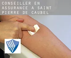 Conseiller en assurance à Saint-Pierre-de-Caubel