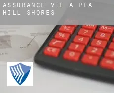 Assurance vie à  Pea Hill Shores