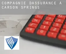 Compagnie d'assurance à  Carson Springs