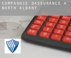 Compagnie d'assurance à  North Albany