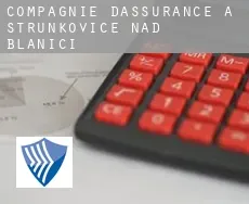 Compagnie d'assurance à  Strunkovice nad Blanicí