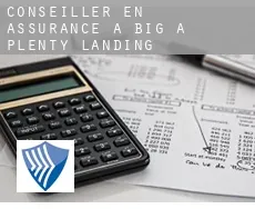 Conseiller en assurance à  Big A Plenty Landing