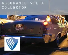 Assurance vie à  Collector