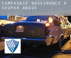 Compagnie d'assurance à  Coupar Angus