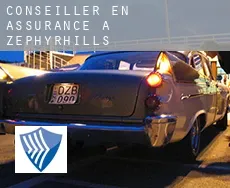 Conseiller en assurance à Zephyrhills