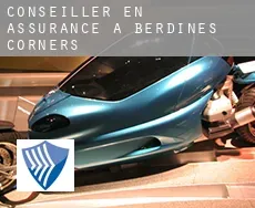 Conseiller en assurance à  Berdines Corners