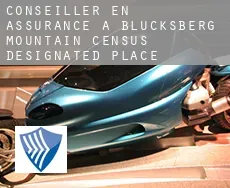 Conseiller en assurance à  Blucksberg Mountain