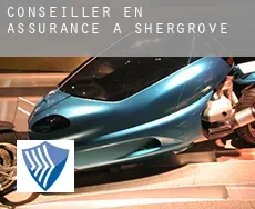 Conseiller en assurance à  Shergrove